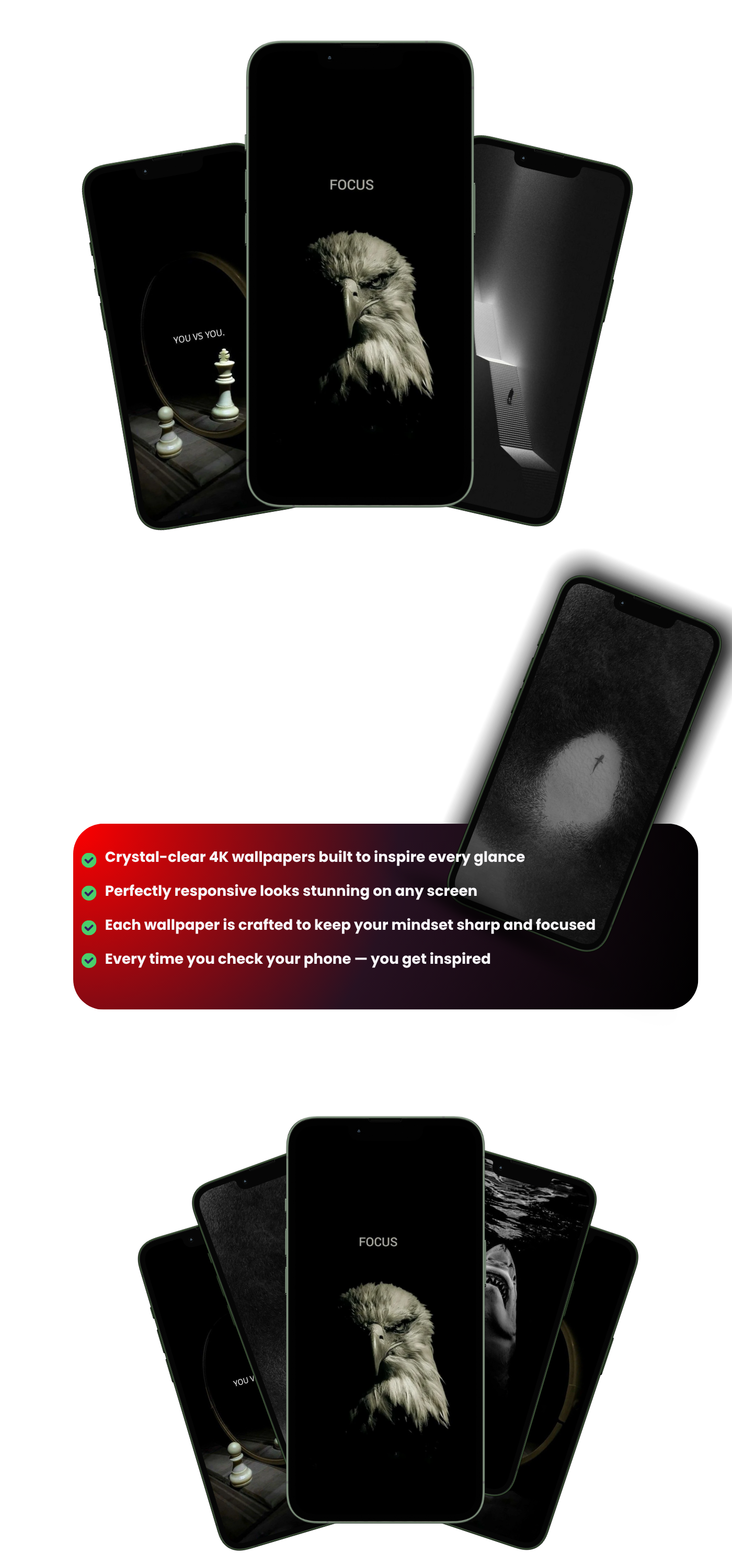 FOCUS – Eagle Wallpaper